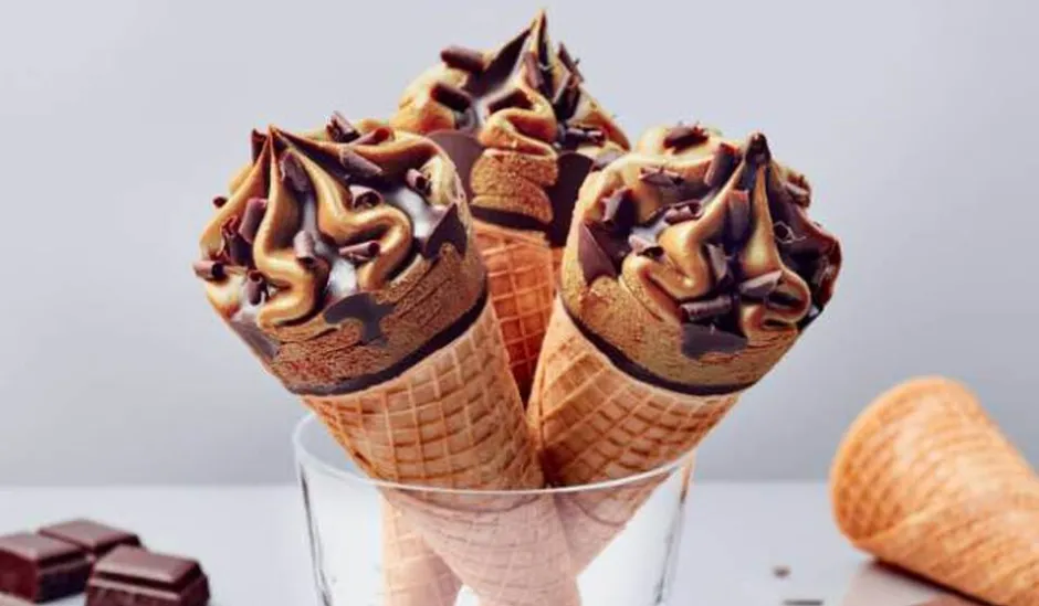 6 cônes chocolat*Picard Outlet