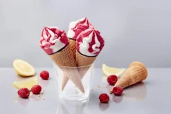 6 cônes citron-framboise*Picard New