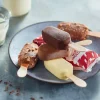 8 mini-bâtonnets vanille-divers enrobages chocolat*Picard Hot