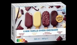 8 mini-bâtonnets vanille-divers enrobages chocolat*Picard Hot
