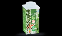 Basilic coupé bio*Picard Hot