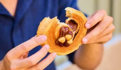 Choc'n roll, feuilleté à la pâte à tartiner*Picard Online