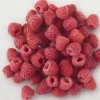 Framboises entières bio, UE et non UE*Picard Sale