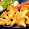 Girolles*Picard Clearance