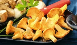 Girolles*Picard Clearance
