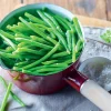 Haricots verts très fins sans résidu de pesticides*Picard Best