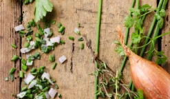 Mélange pour salades*Picard New