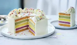 Rainbow cake, gâteau arc-en-ciel, 6 parts*Picard Sale