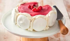 Vacherin vanille-framboise*Picard